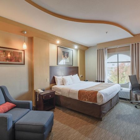 Comfort Suites Perrysburg - Toledo South Esterno foto